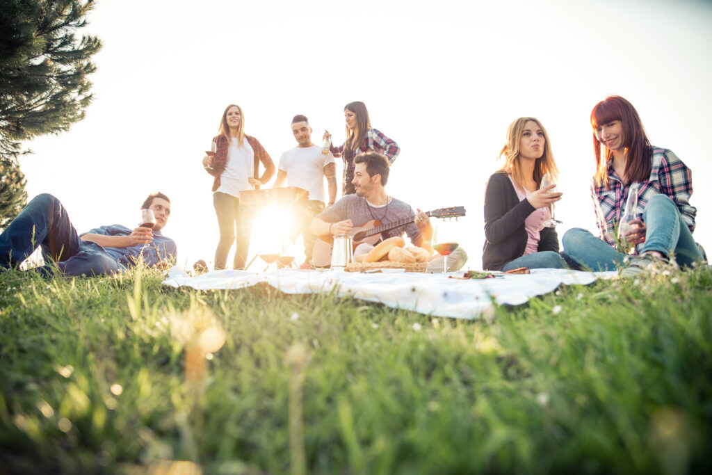 A group of people enjoying a picnic on a blanket in the grass in Mayfair homes.