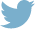 Twitter Icon