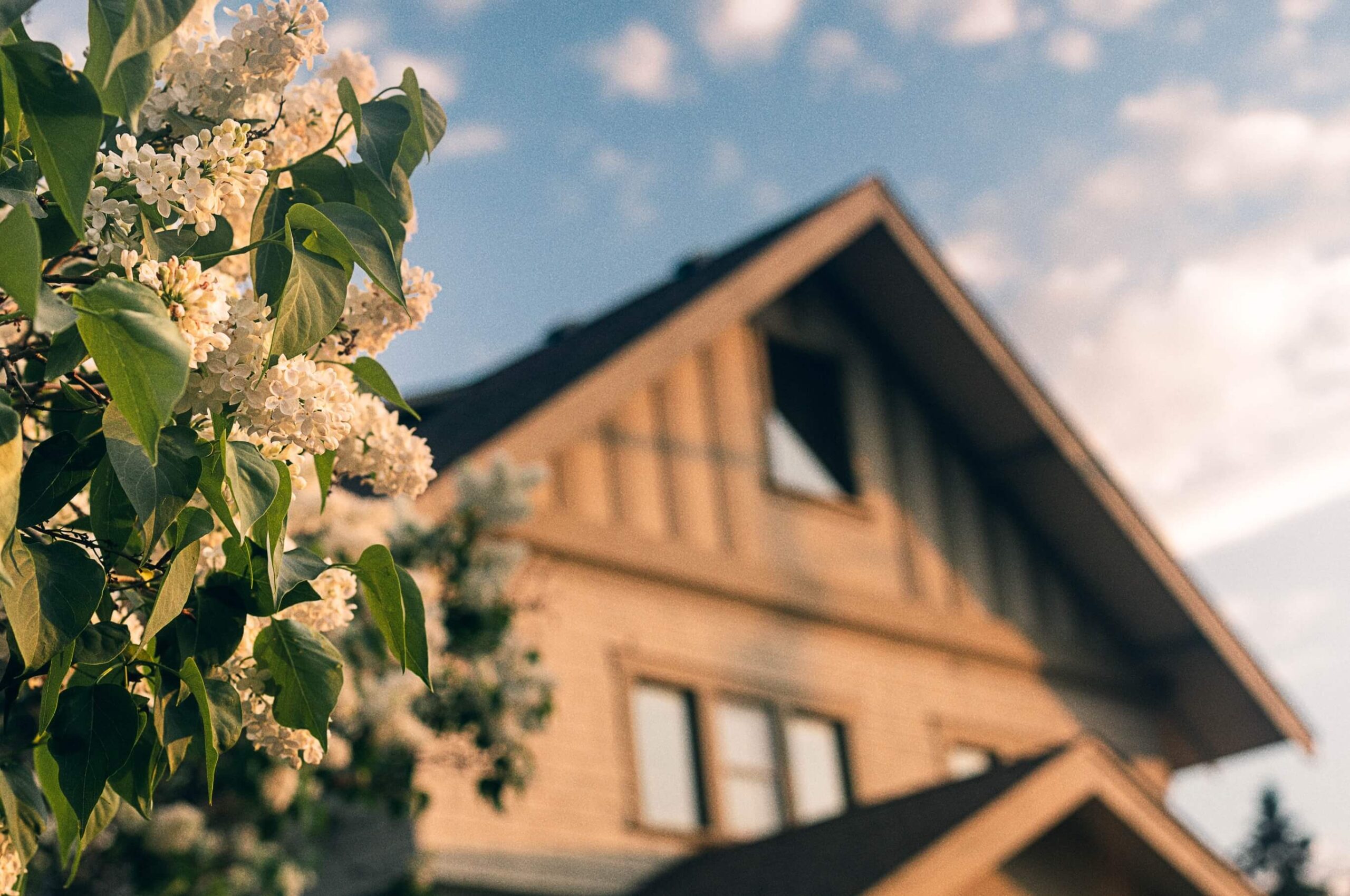 A Mayfair home with lilacs in front of it, located in New Braunfels.