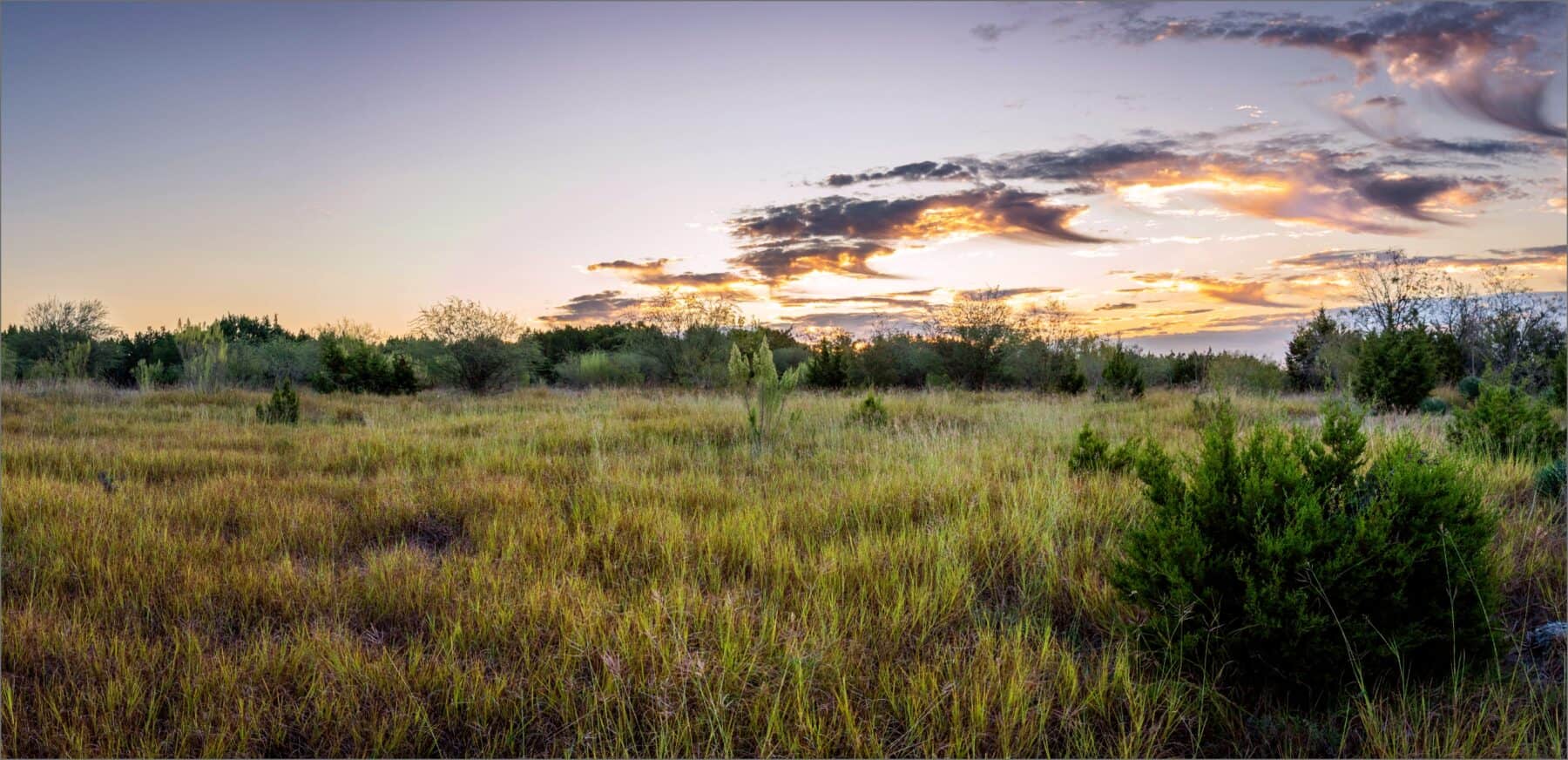 Image of Mayfair Texas landscape.