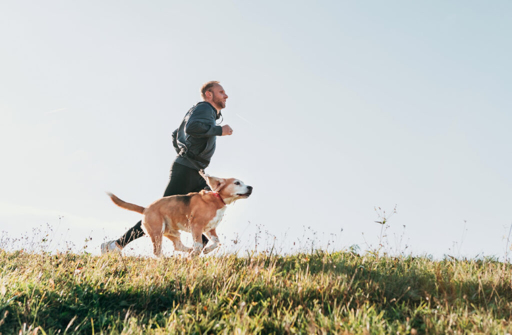 Strolling into the New Year: A Walk a Day for Healthier Living